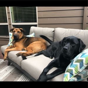 Meet your Posher, Andrea